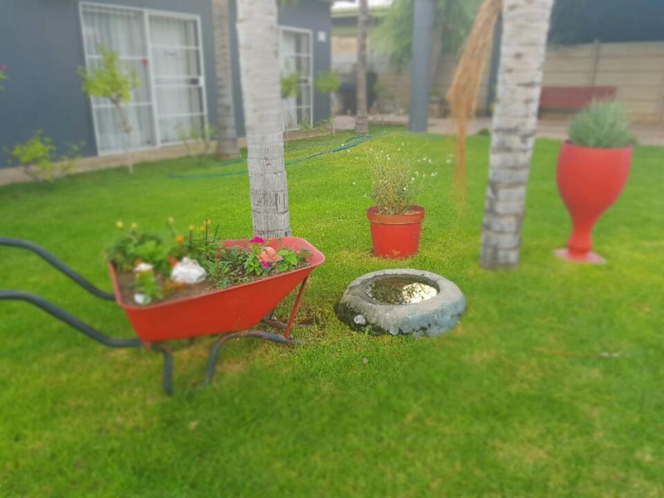אפינגטון Tehillah Guesthouse מראה חיצוני תמונה